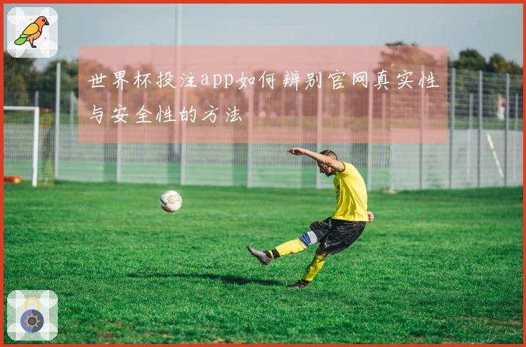 世界杯投注app如何辨别官网真实性与安全性的方法