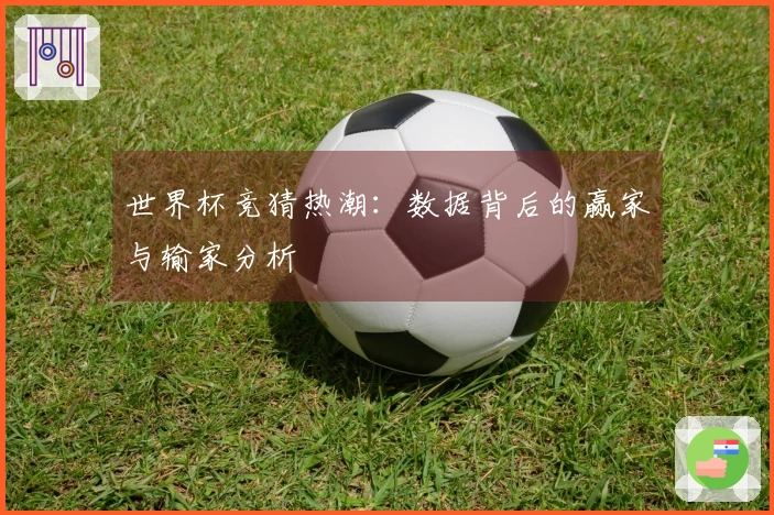 世界杯竞猜热潮：数据背后的赢家与输家分析