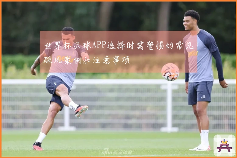 世界杯买球APP选择时需警惕的常见踩坑案例和注意事项